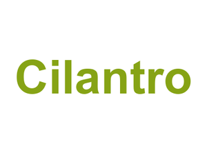 Cilantro Logo