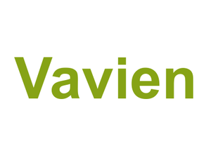 Vavien Logo