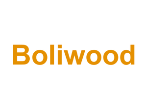 Boliwood Logo
