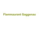 Flammaurant Gaggenau Logo