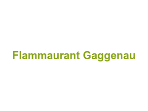 Flammaurant Gaggenau Logo
