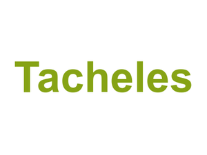 Tacheles Logo