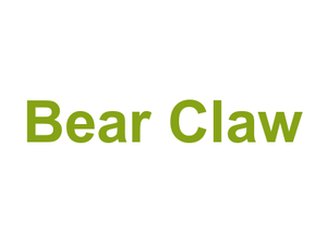 Bear Claw Logo