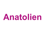 Anatolien Logo