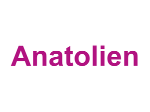 Anatolien Logo