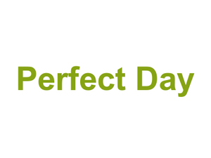 Perfect Day Logo