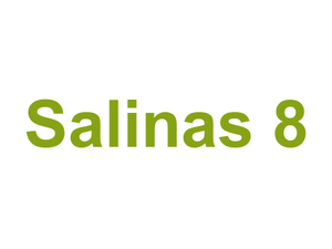 Salinas 8 Logo