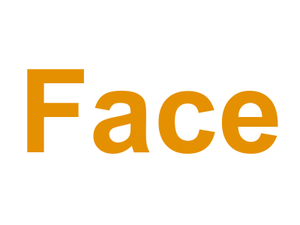 Face Logo