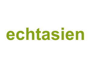 echtasien Logo