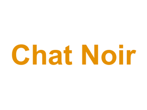 Chat Noir Logo