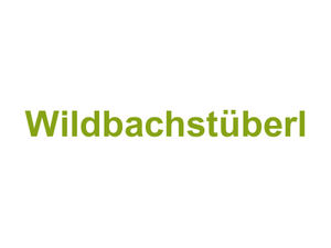 Wildbachstüberl Logo