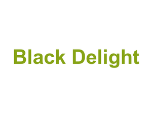 Black Delight Logo