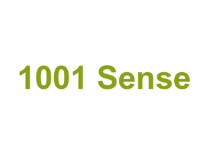 1001 Sense Logo