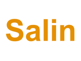Salin Logo