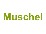 Muschel Logo