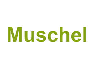 Muschel Logo