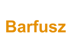 Barfusz Logo
