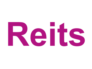 Reit's Logo