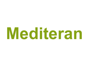 Mediteran Logo