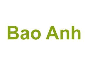 Bao Anh Logo