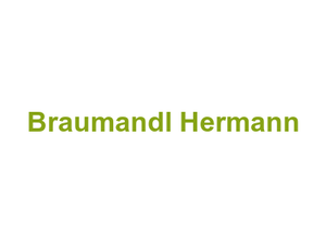 Braumandl Hermann Logo