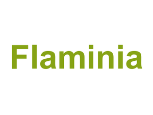 Flaminia Logo