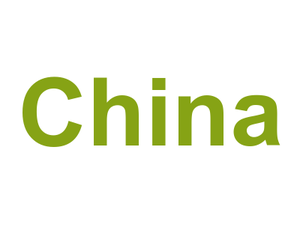 China Logo