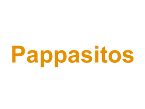 Pappasitos Logo