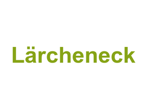Lärcheneck Logo