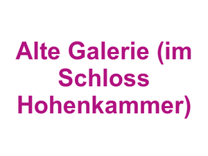 Alte Galerie (im Schloss Hohenkammer) Logo