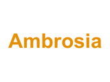 Ambrosia Logo