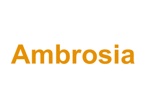 Ambrosia Logo