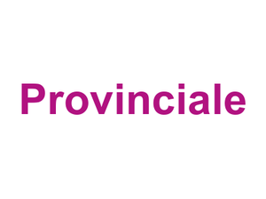 Provinciale Logo