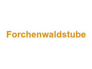 Forchenwaldstube Logo