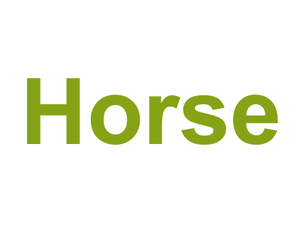 Horse Logo