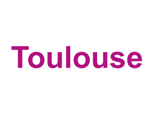 Toulouse Logo