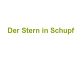 Der Stern in Schupf Logo