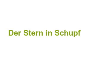 Der Stern in Schupf Logo
