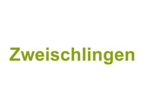 Zweischlingen Logo