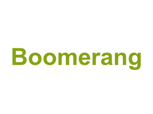 Boomerang Logo
