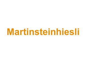 Martinsteinhiesli Logo