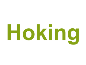 Hoking Logo