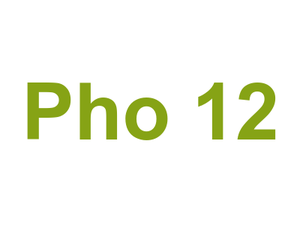 Pho 12 Logo