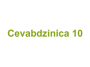 Cevabdzinica 10 Logo