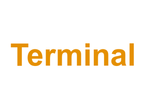 Terminal Logo