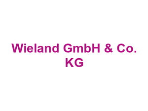 Metzgerei Fleischwaren Wieland GmbH & Co. KG Logo