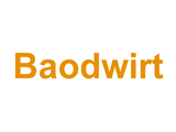Baodwirt Logo