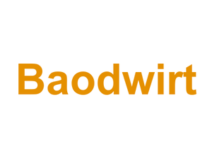 Baodwirt Logo