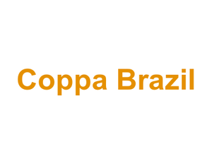 Coppa Brazil Logo
