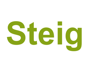 Steig Logo